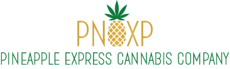 PNXP Logo